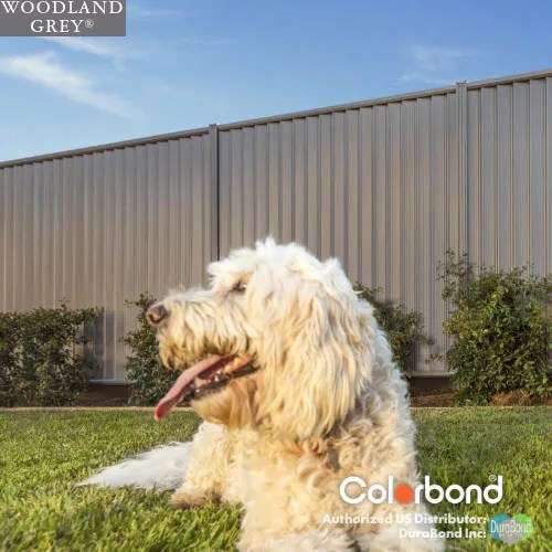 Woodland Grey Colorbond steel fence