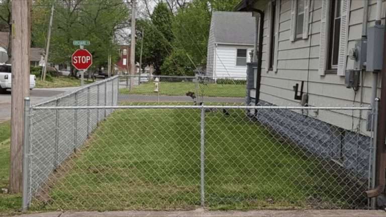 Silver-colored chain-link fence enclosing a narrow side yard beside a house and sidewalk.